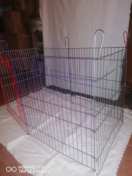 RECINTO PER CANI